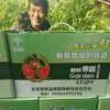 于土祥的头像