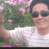 歌神小号的头像