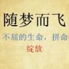  随梦而飞的头像