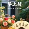 散府老头的头像