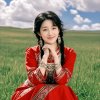 禾木的头像