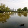 幸福快乐的头像