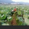 微笑的头像