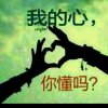 静心的头像