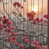 ༄࿆鑫คิดถึง࿐的头像