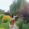 依然的头像