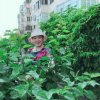 如懿兰花的头像