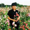 花开花落的头像