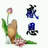 真诚有错吗15536003893其貌不扬的我，的头像