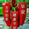 随缘.的头像