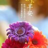会飞的鱼的头像