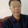 老杨的头像