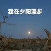 夕阳漫步的头像