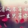 今生只爱你的头像