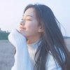 风随往事的头像