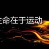 戒戒的头像