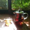 冰山上的来客（送花号）的头像