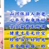 珍的头像