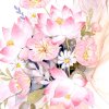 雪花漂漂的头像