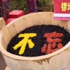 不忘初心的头像