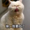 泓興๑_๑♀的头像