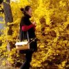 小龍女的头像