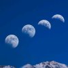 蓝月亮的头像