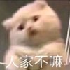 吧唧@郑婧怡的头像