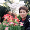 华声彩云121的头像