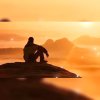 淡的头像