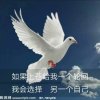 重庆妹的头像
