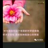 赐福李凌凌《拒送kB》的头像