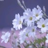 乐在其中的头像