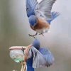 人生快乐的头像