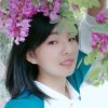 彩云的头像