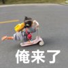 赵鑫家族梅梅的头像