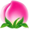 思维（停币啦）的头像