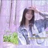 落的头像