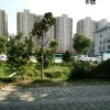 心如止水的头像