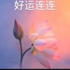 紫竹的头像