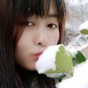 丑小鸭的头像