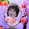 海林如意的头像