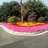 小葵花的头像