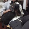 傲枫 淡忘我了吧？的头像