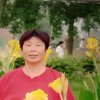老来乐的头像