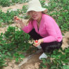 晴天的头像