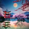 平凡的人的头像
