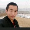 迎客松的头像