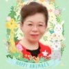 洁梅的头像