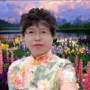 紫发兰兰的头像